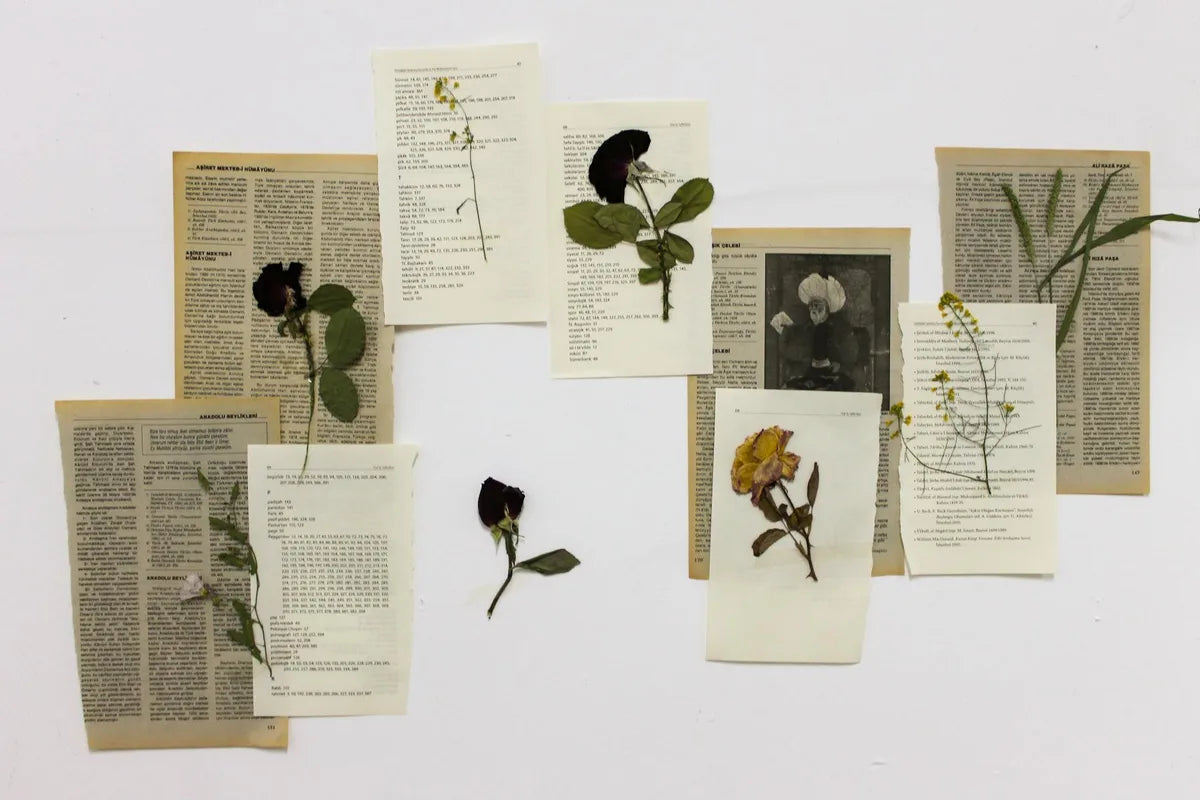 Vintage herbarium, pressed leaves on yellowed paper