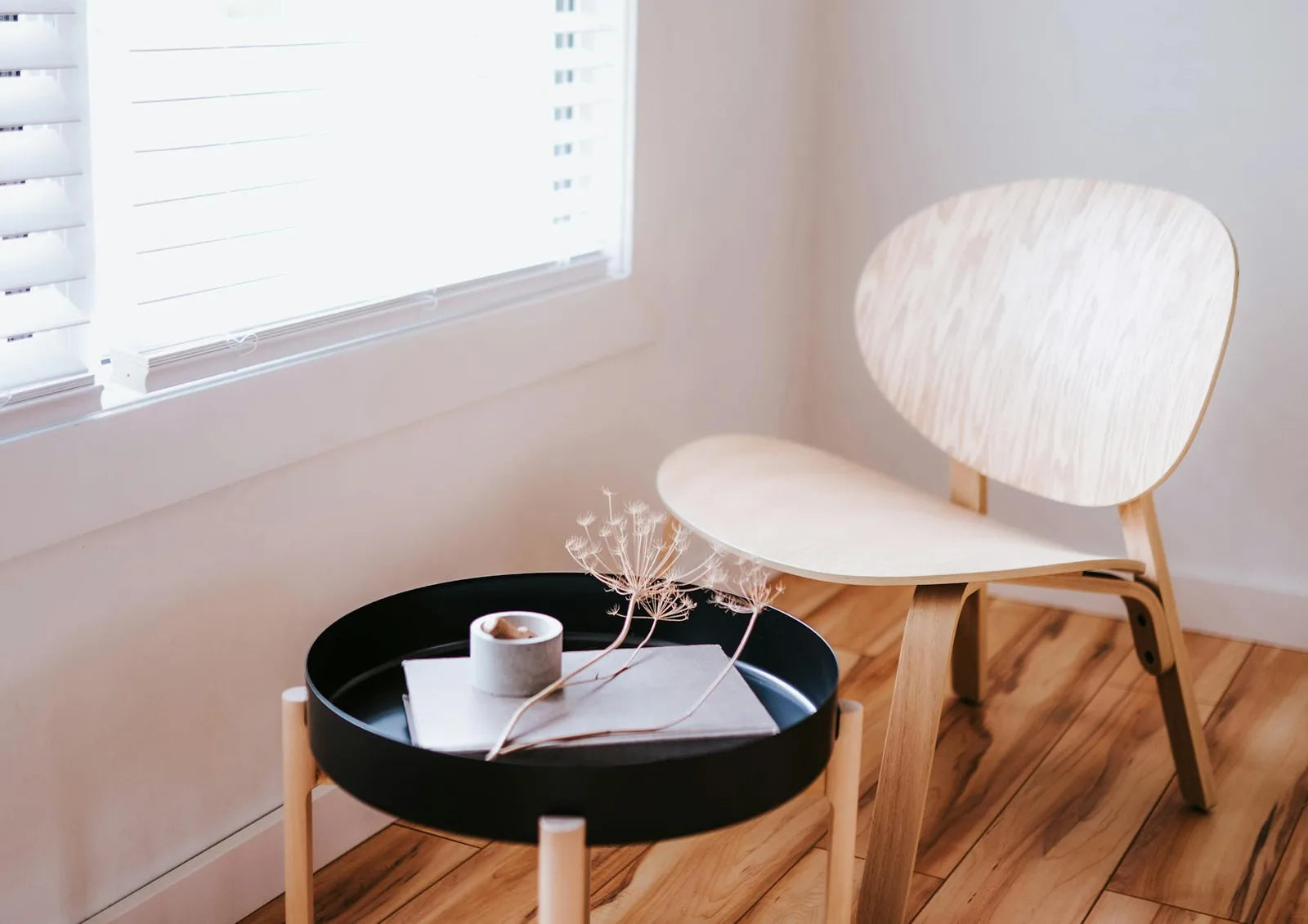 Japandi interior, pale wood, green plant, raking natural light