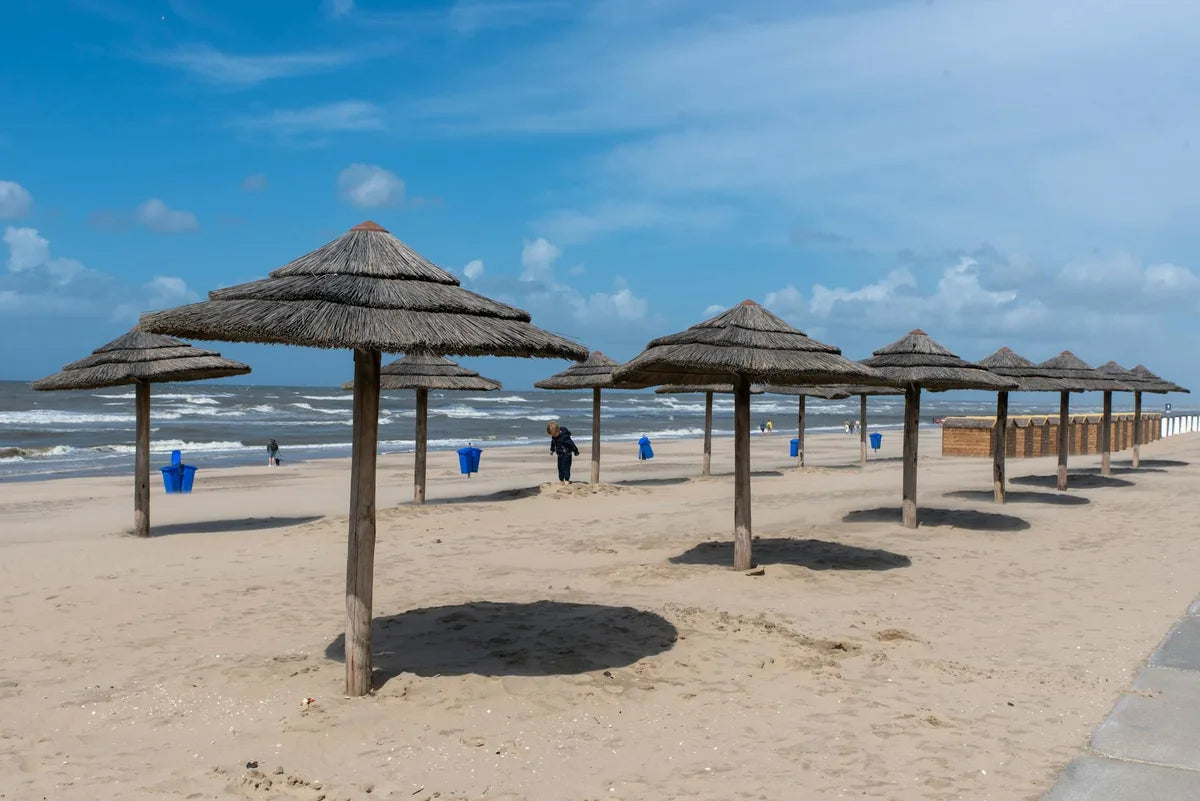 Sandy beach, parasols, midday light